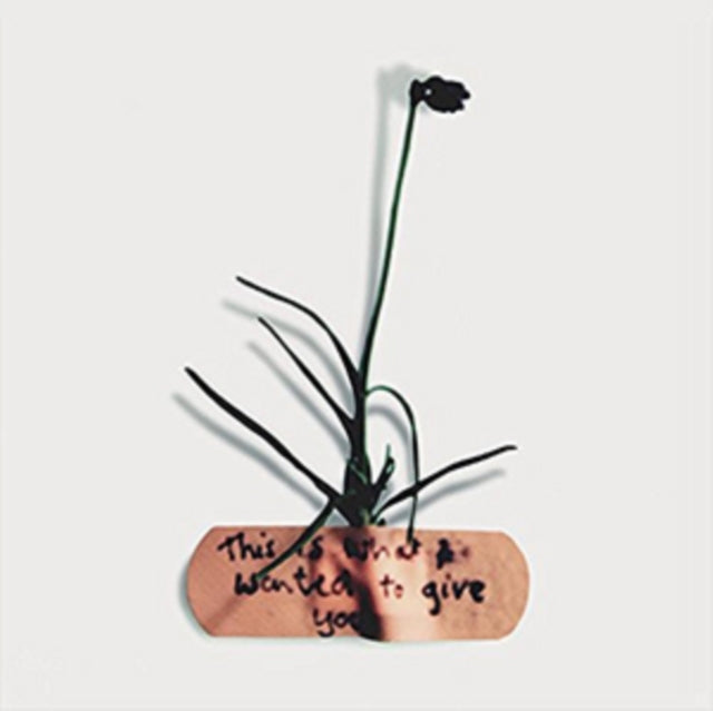 Mckevitt & Noble - This Is What I Wanted To Give You (CD Single)