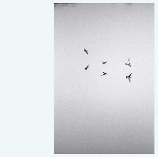 Kirk Barley - Landscapes (Vinyl)