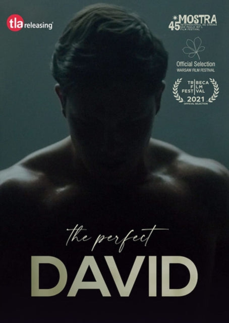 Perfect David. The (DVD)