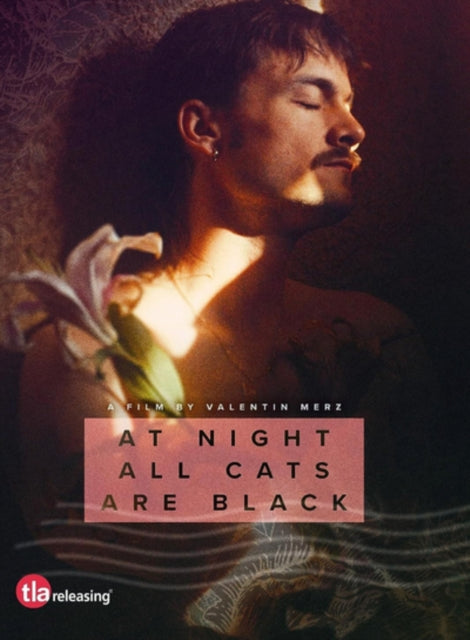 At Night All Cats Are Black (DVD)