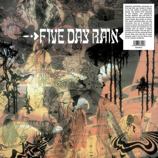 Five Day Rain - Five Day Rain (Vinyl)