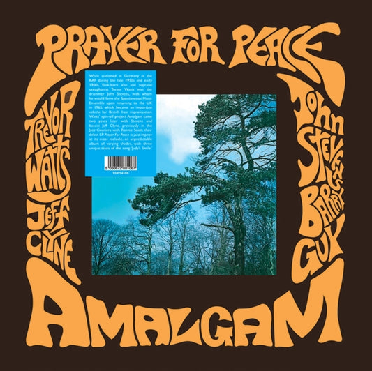 Amalgam - Prayer For Peace (Vinyl)