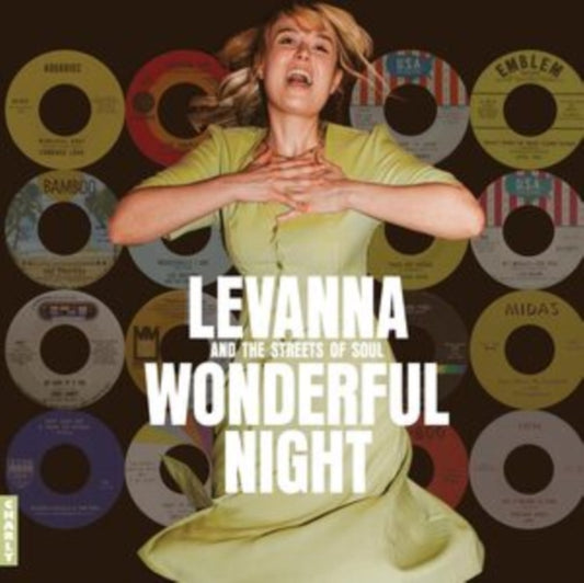 Various Artists - Wonderful Night Curated By Levanna (CD)
