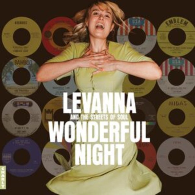 Various Artists - Wonderful Night Curated By Levanna (Vinyl)