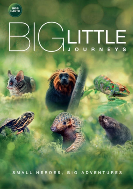 Big Little Journeys (DVD)