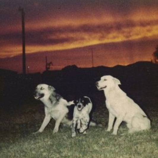 Sennen - New Quiet (CD)