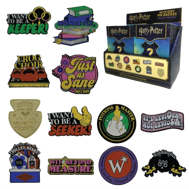Harry Potter Mystery Pin Badge (Badge Pin Metal)