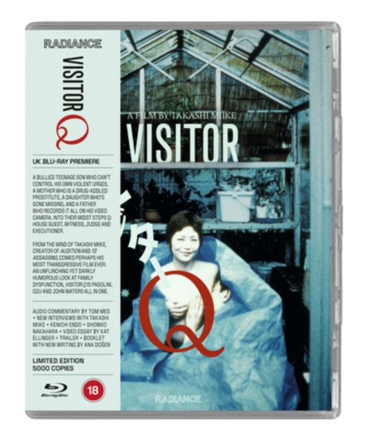Visitor Q (Blu-ray)
