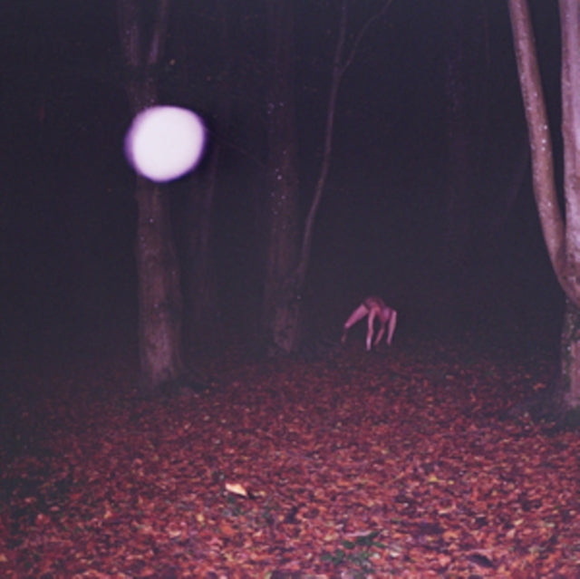 Buzzard Buzzard Buzzard - Skinwalker (Vinyl)