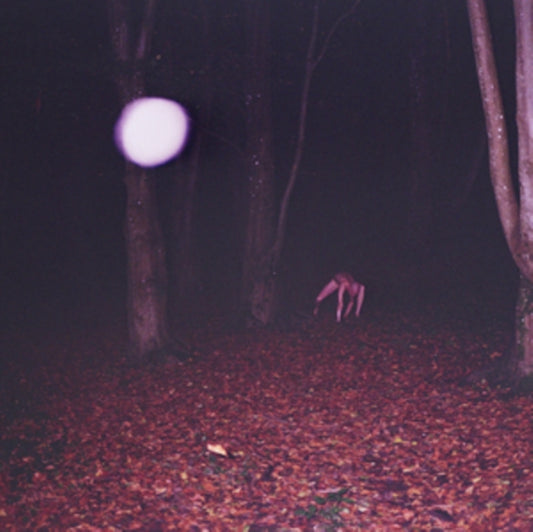 Buzzard Buzzard Buzzard - Skinwalker (CD)