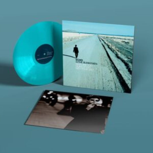 Echo & The Bunnymen - What Are You Going To Do With Your Life? (Turquoise Vinyl) (Vinyl)