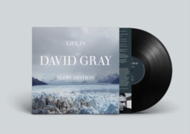 David Gray - Life In Slow Motion (20th Anniversary Edition) (Vinyl)
