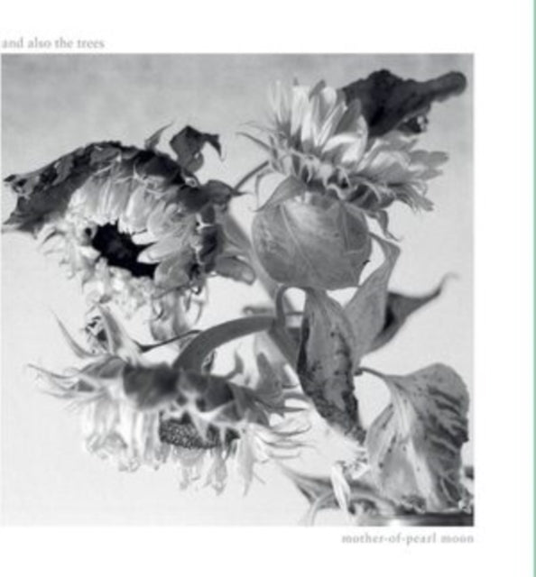 And Also The Trees - Mother-Of-Pearl Moon (CD)