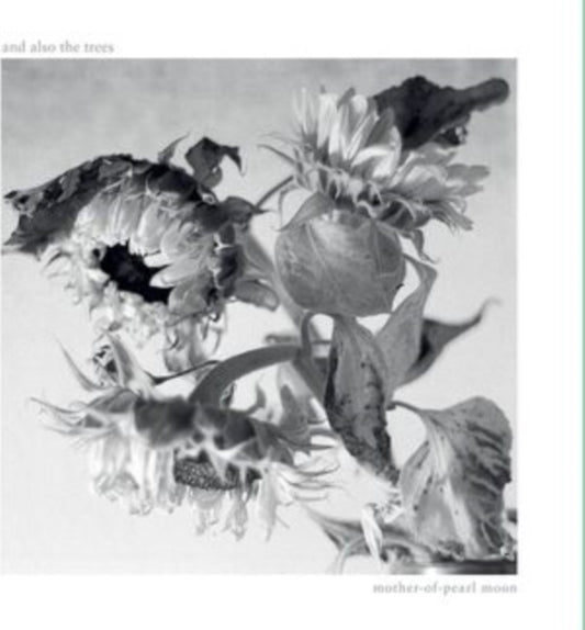 And Also The Trees - Mother-Of-Pearl Moon (CD)