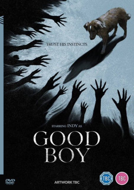 Good Boy (DVD)