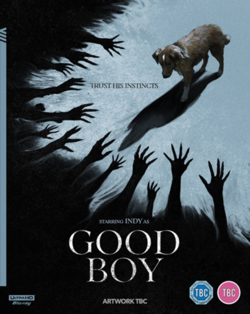 Good Boy (Blu-ray 4K)