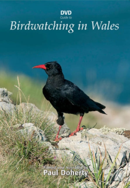 Birdwatching In Wales (DVD)