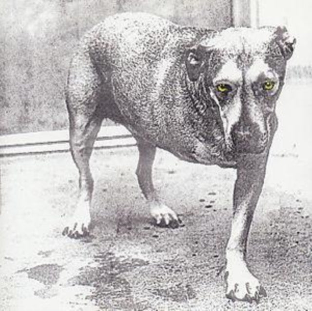 Alice In Chains - Alice In Chains (CD)