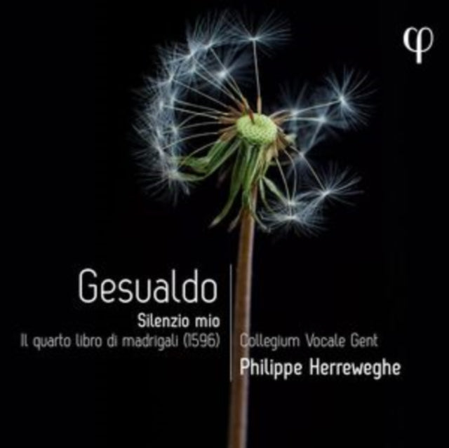 Collegium Vocale Gent / Hannah Ely / Barbora Kabatkova / Melodie Ruvio / Benedict Hymas / Tore Tom Denys / Jonas Nordberg / Philippe Herreweghe - Gesualdo: Silenzio Mio. Il Quarto Libro Di Madrigali (CD)