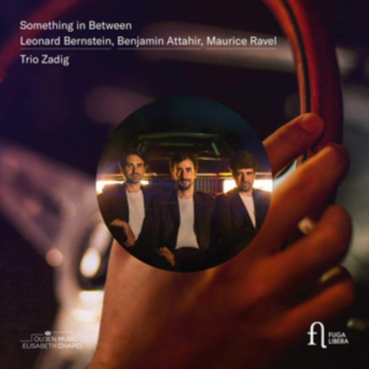 Trio Zadig - Something In Between (CD)