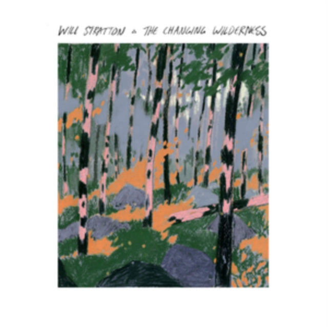 Will Stratton - The Changing Wilderness (CD)