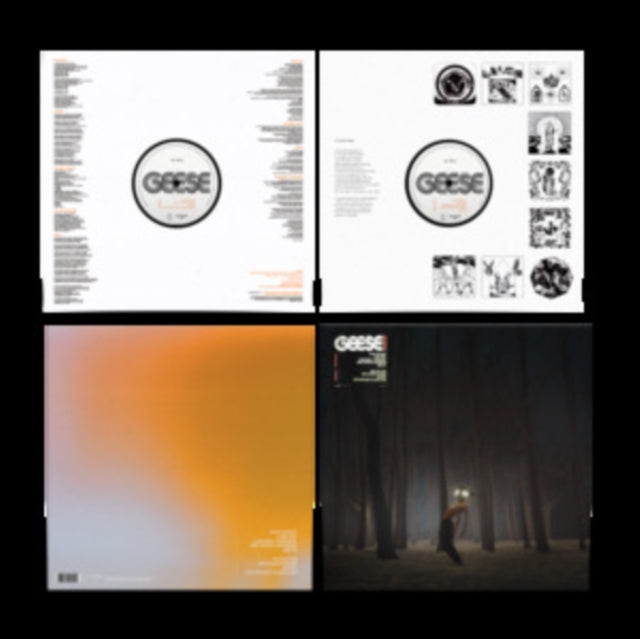 Geese - Projector (Vinyl)