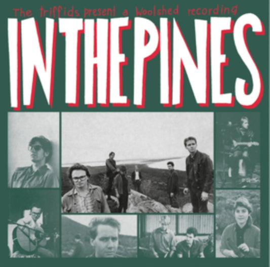 Triffids - In The Pines (Vinyl)