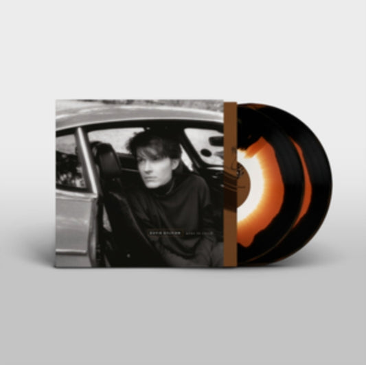 David Sylvian - Gone To Earth (Vinyl)