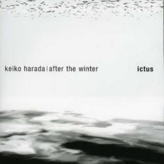 Various Artists - After The Winter (CD)