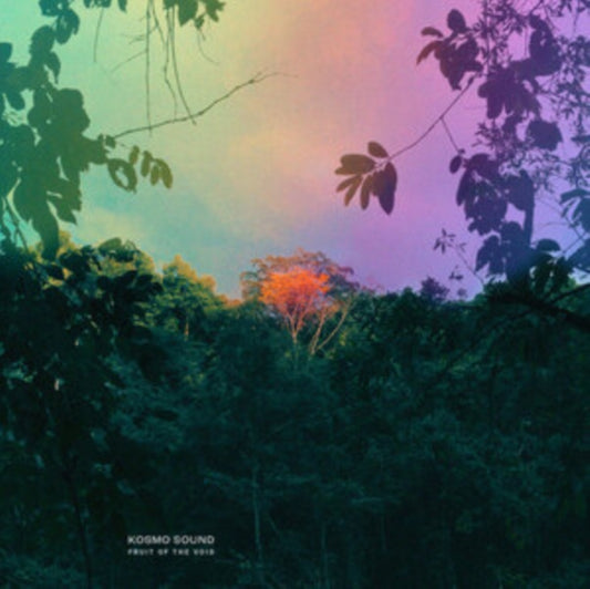 Kosmo Sound - Fruit Of The Void (Vinyl)