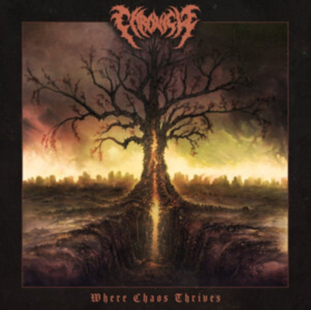 Chronicle - Where Chaos Thrives (CD)