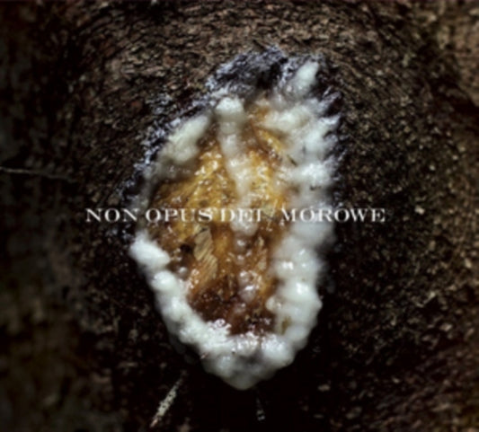 Non Opus Dei / Morowe - Dziwki Dwie (CD)
