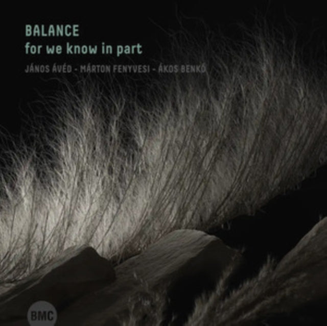Balance - For We Know In Part (CD)