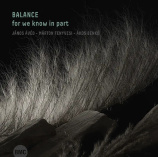 Balance - For We Know In Part (CD)