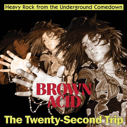 Various Artists - Brown Acid: The Twenty-Second Trip (Vinyl)