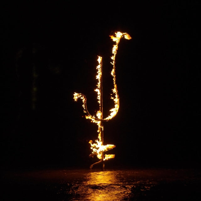 Demon Head - Hellfire Ocean Void (Vinyl)