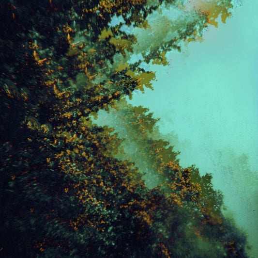 Polymoon - Caterpillars Of Creation (Vinyl)