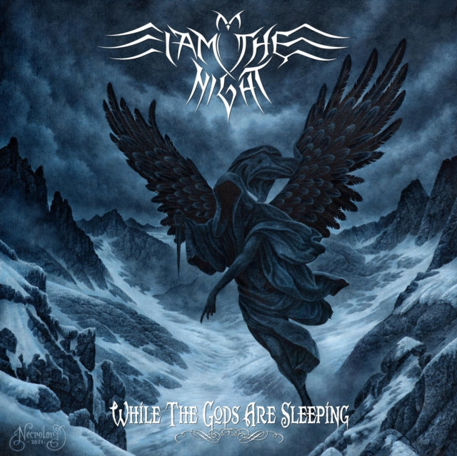 I Am The Night - While The Gods Are Sleeping (Vinyl)