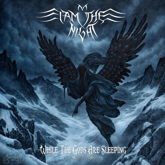 I Am The Night - While The Gods Are Sleeping (Vinyl)