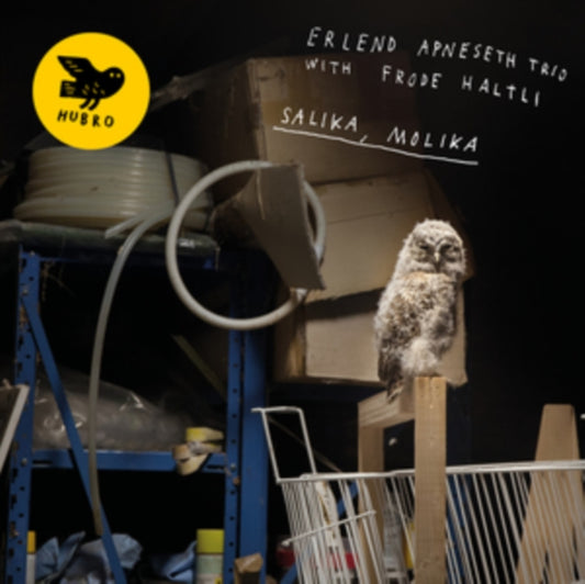 Erlend Apneseth Trio & Frode Haltli - Salika. Molika (CD)