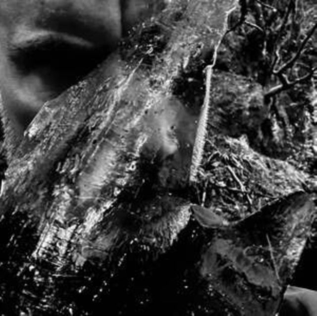 Taake - En Skog Av Nidstang (Clear Vinyl) (Vinyl)