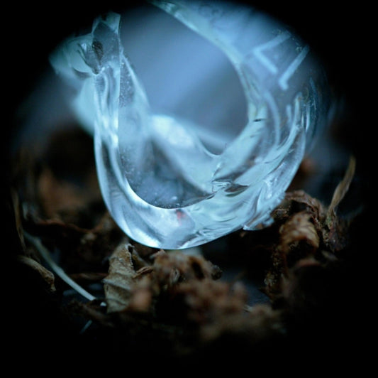 Ossicles - Mantelpiece (CD)