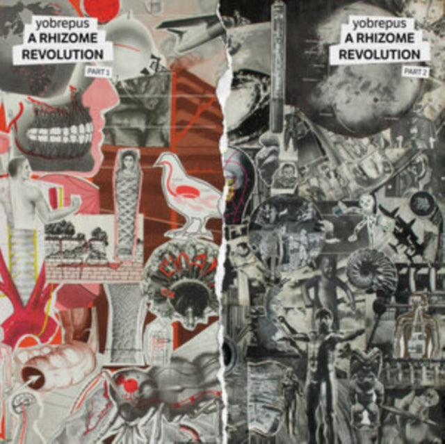 Yobrepus - A Rhizome Revolution Part 1 (CD)