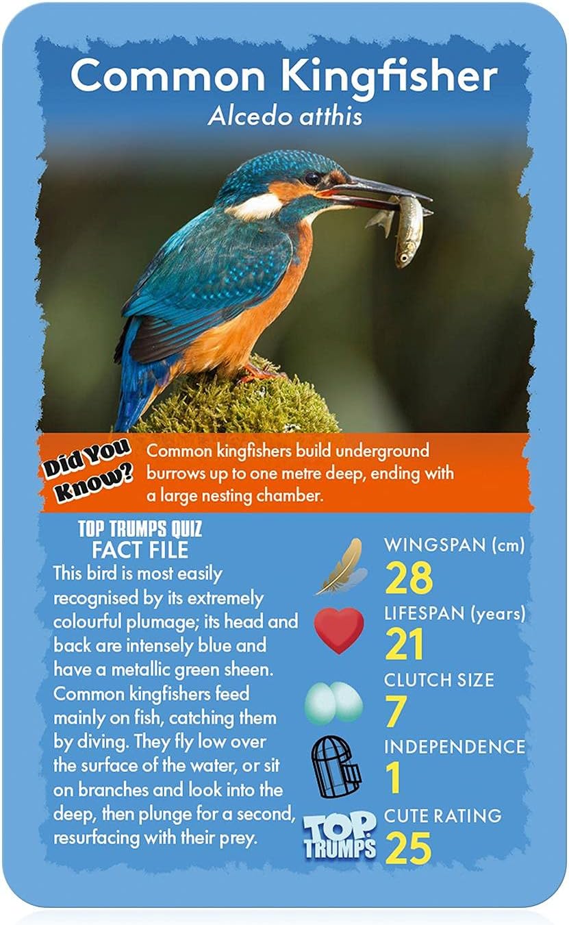 Top Trumps Card Game Classics Birds of The World