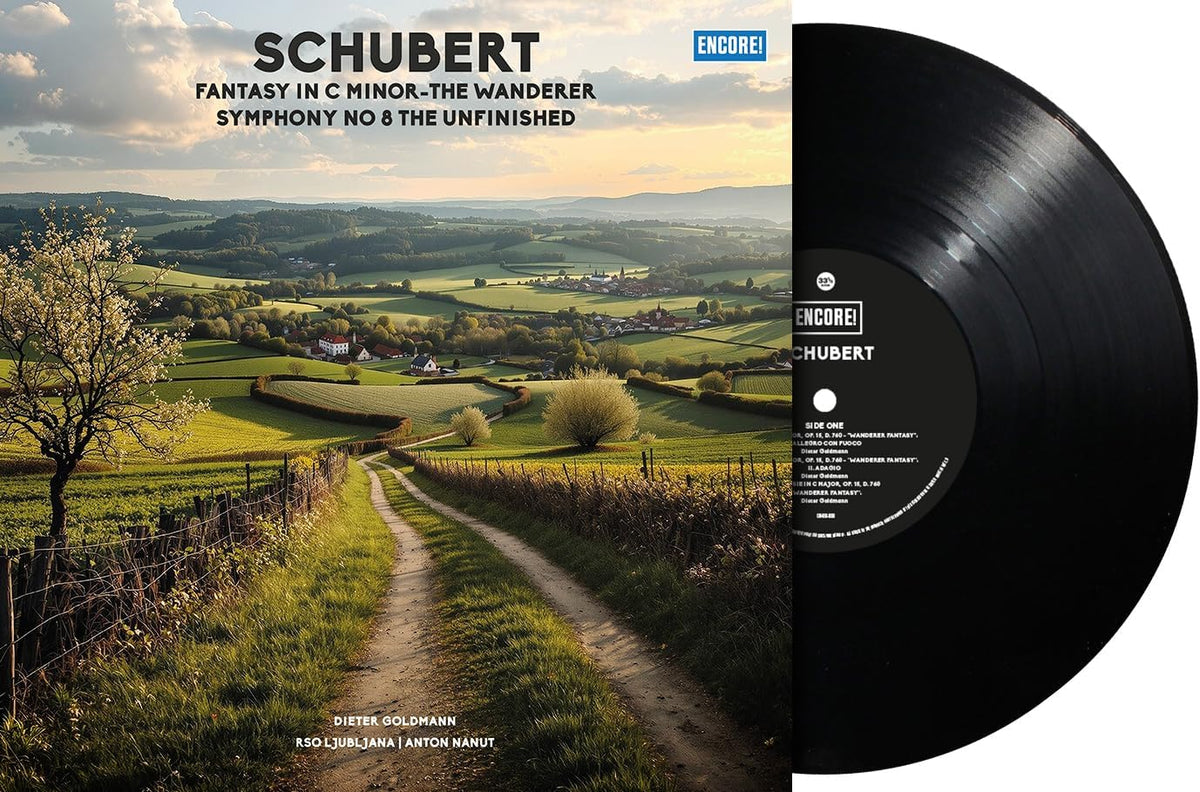 Various Artists - F. Schubert: Fantasy In C Major - The Wanderer. Schwanengesang (Vinyl)