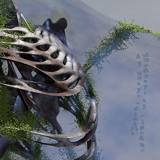 Jason Doell - Becoming In Shadows - Of Being Touched (Vinyl)
