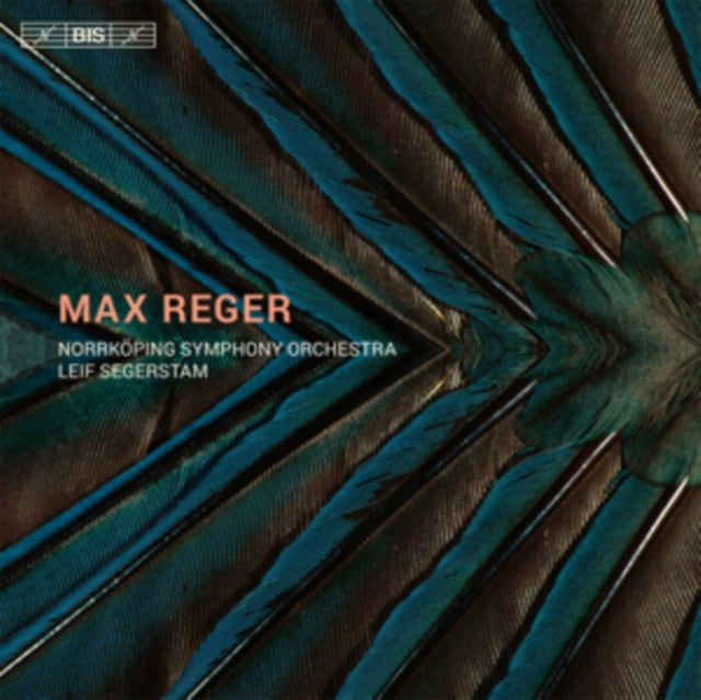 Norrkoping Sosegerstam - Regerorchestral Works (CD)