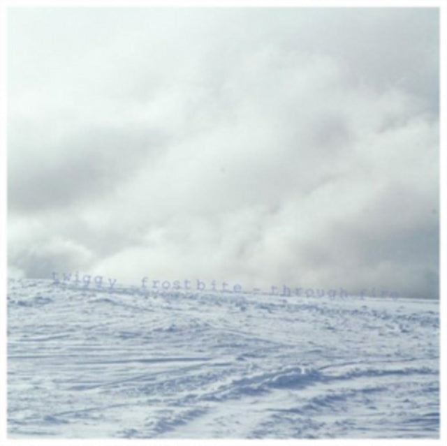 Twiggy Frostbite - Through Fire (CD)