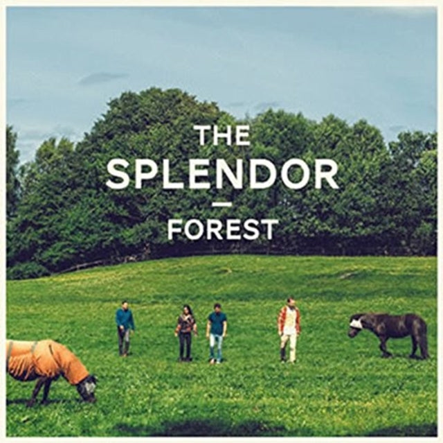 Splendor - Forest (Vinyl)