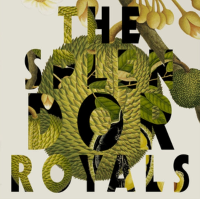 Splendor - Royals (Vinyl)